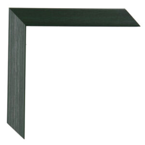 Vernazza donker groen met facet